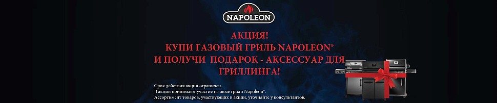 Газовые грили Bilex Napoleon в Самаре