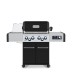 Гриль газовый Broil King Регал Кью 490 (REGAL Q 490 IR)